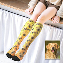Custom Knee High Face Socks Summer Socks - Pet Dog